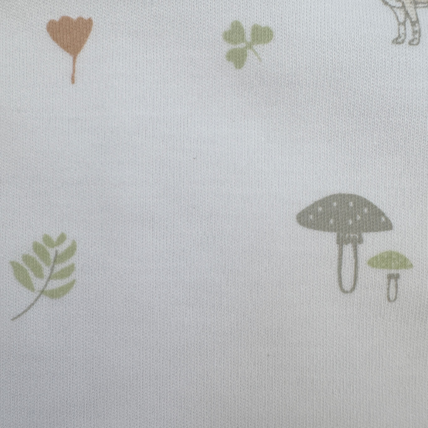 Babero - bosque